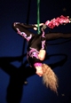 foto duo Katrin&Zako - aerial ring